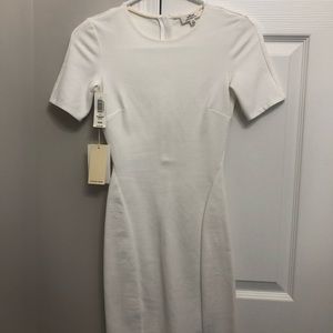 Brand New Wilfred Dress